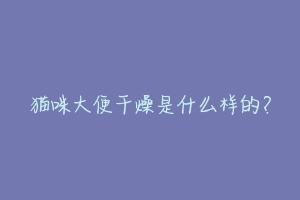 猫咪大便干燥是什么样的?