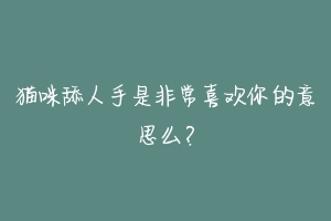 猫咪舔人手是非常喜欢你的意思么?