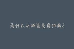 为什么小猫容易得猫癣?