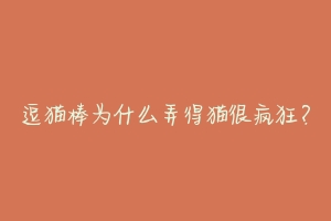 逗猫棒为什么弄得猫很疯狂?
