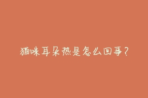 猫咪耳朵热是怎么回事?