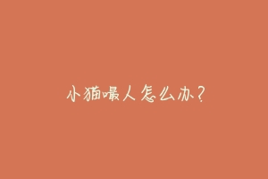 小猫嘬人怎么办?