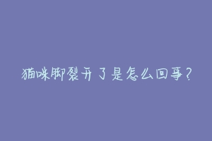 猫咪脚裂开了是怎么回事?