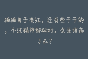 猫猫鼻子变红,还有些干干的,不过精神都挺好。会是得病了么?