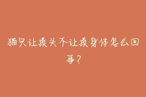 猫只让摸头不让摸身体怎么回事？