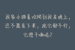 我家小猫喜欢爬到我肩膀上,还不愿意下来,抱它都不行,它想干嘛呢?