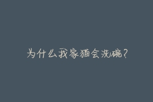 为什么我家猫会洗碗?