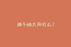 猫不晒太阳行么?