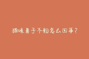 猫咪鼻子不粉怎么回事?