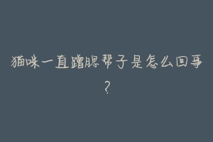 猫咪一直蹭腮帮子是怎么回事?