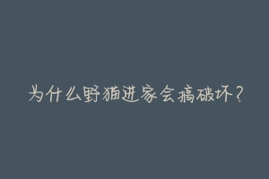 为什么野猫进家会搞破坏？