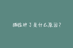 猫脸肿了是什么原因?