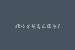 猫咬牙是怎么回事?