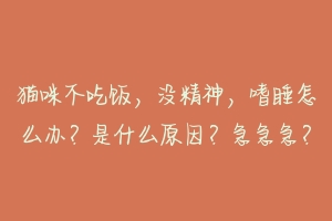猫咪不吃饭,没精神,嗜睡怎么办?是什么原因?急急急?