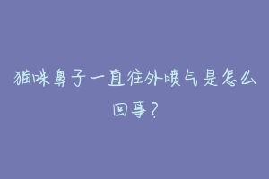 猫咪鼻子一直往外喷气是怎么回事?