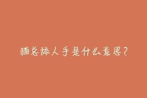 猫总舔人手是什么意思?