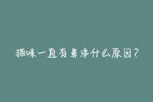 猫咪一直有鼻涕什么原因?