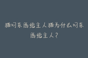 猫叼东西给主人猫为什么叼东西给主人?