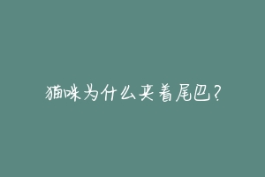 猫咪为什么夹着尾巴?