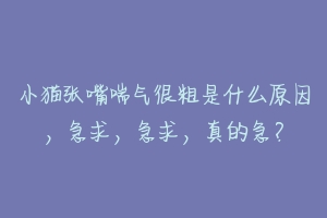 小猫张嘴喘气很粗是什么原因,急求,急求,真的急?