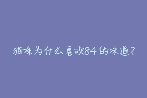 猫咪为什么喜欢84的味道?