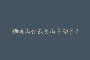 猫咪为什么长山羊胡子?