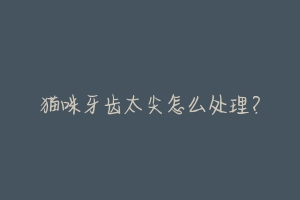 猫咪牙齿太尖怎么处理?