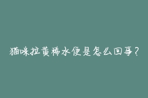 猫咪拉黄稀水便是怎么回事?