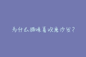 为什么猫咪喜欢磨沙发?