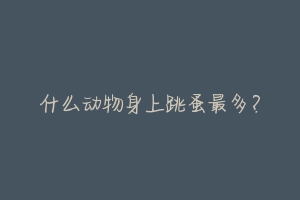 什么动物身上跳蚤最多？