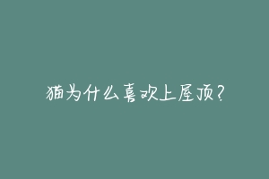 猫为什么喜欢上屋顶?