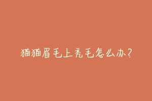 猫猫眉毛上秃毛怎么办?
