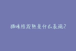 猫咪性成熟是什么表现?