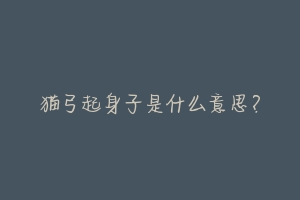 猫弓起身子是什么意思？