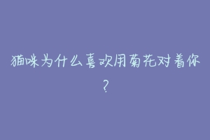 猫咪为什么喜欢用菊花对着你?