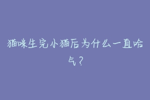 猫咪生完小猫后为什么一直哈气?