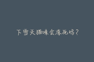 下雪天猫咪会冻死吗?