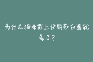 为什么猫咪戴上伊丽莎白圈就蔫了?