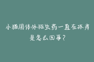 小猫用体外驱虫药一直在抓痒是怎么回事？