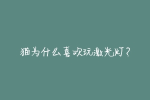 猫为什么喜欢玩激光灯?