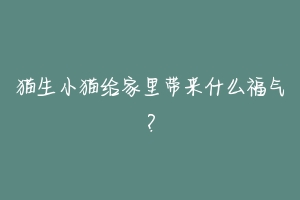 猫生小猫给家里带来什么福气?