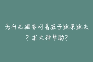 为什么猫要叼着孩子跑来跑去?求大神帮助?