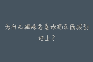 为什么猫咪总喜欢把东西拨到地上?