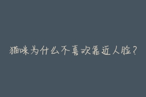 猫咪为什么不喜欢靠近人脸?