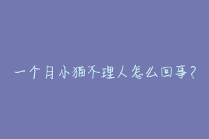 一个月小猫不理人怎么回事?