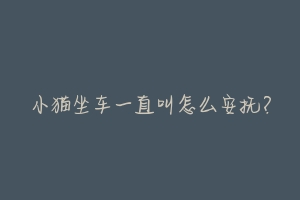 小猫坐车一直叫怎么安抚?