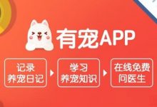 棕色的猫咪叫什么名字好听?