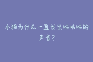 小猫为什么一直发出咕咕咕的声音?