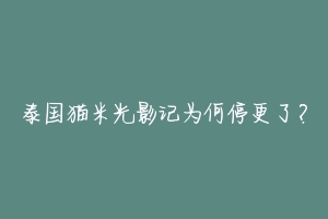 泰国猫米光影记为何停更了?