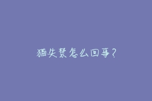 猫失禁怎么回事?